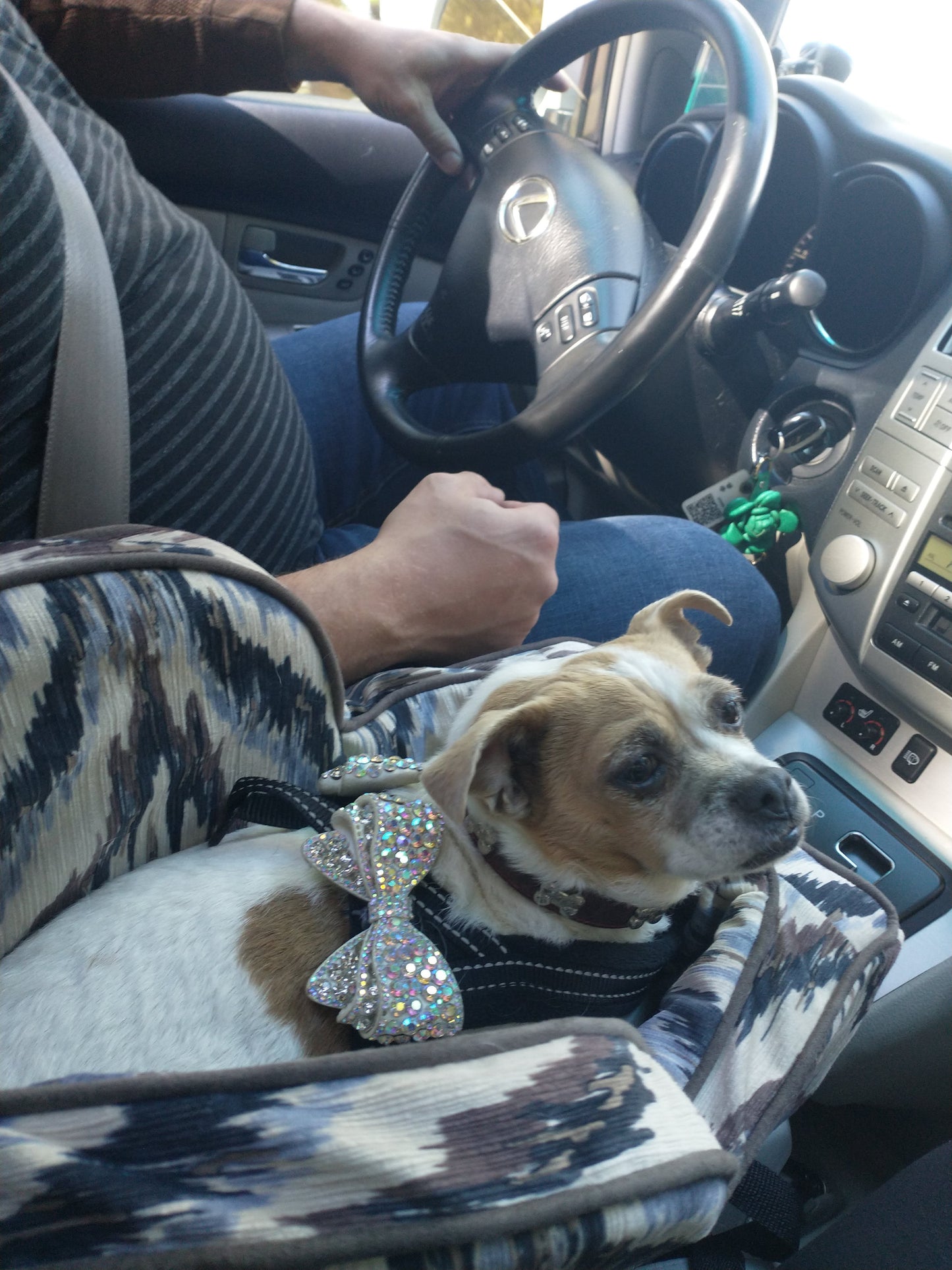 Luxury Bow Rhinestone Pet Harness-AB (Aurora Borealis)
