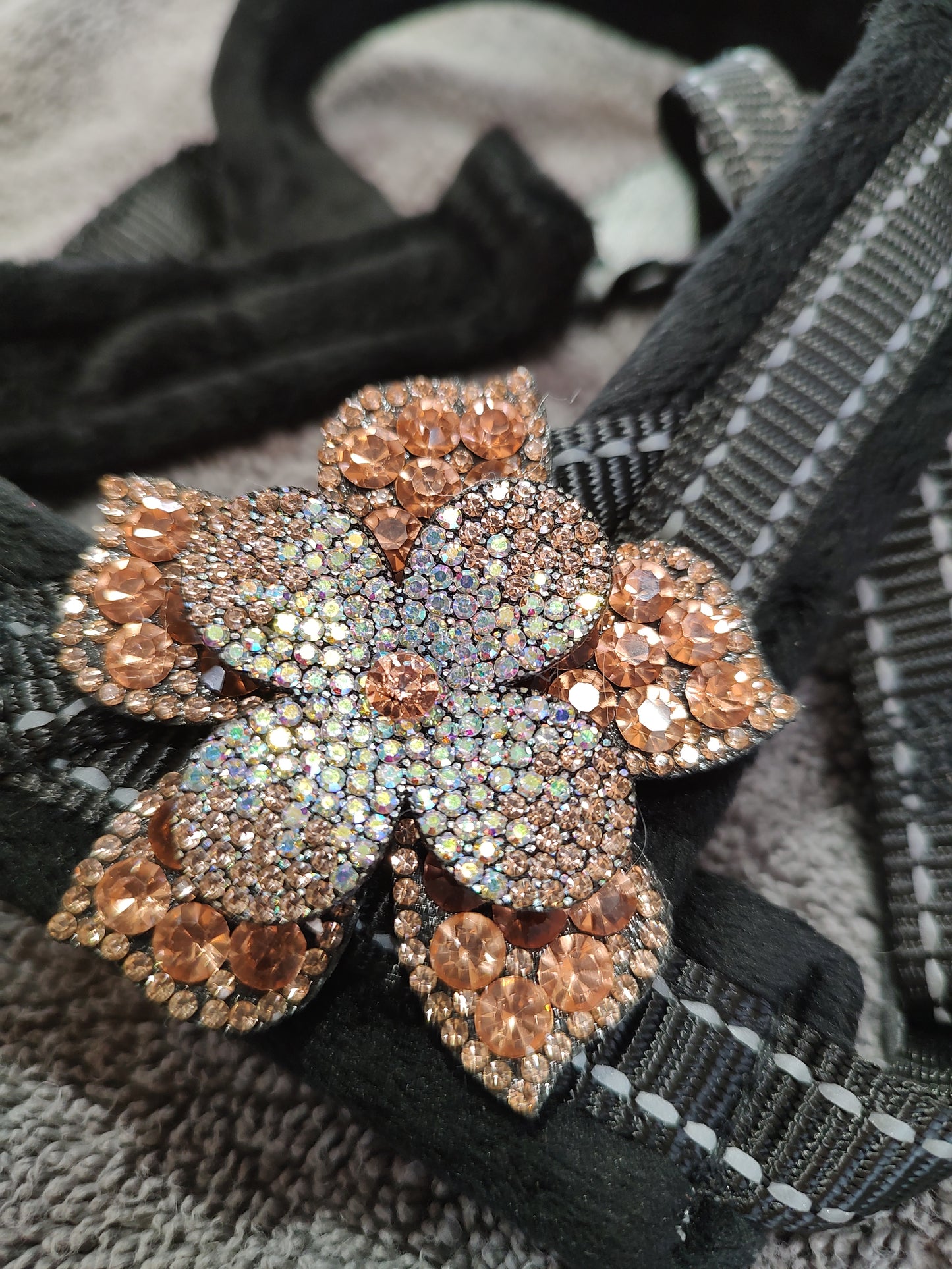 Luxury One Flower Rhinestone Pet Harness-Champaign