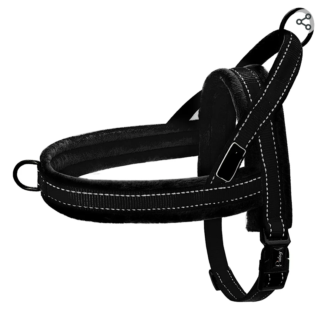 Luxury One Flower Rhinestone Pet Harness-AB (Aurora Borealis)